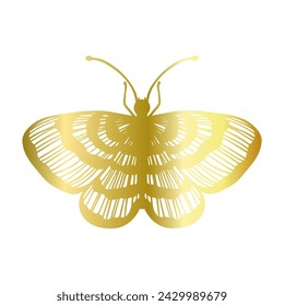 Decorative winged insect of a golden butterfly. Vector graphics.