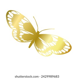 Decorative winged insect of a golden butterfly. Vector graphics.