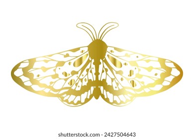 Decorative winged insect golden night moth. Vector graphics.