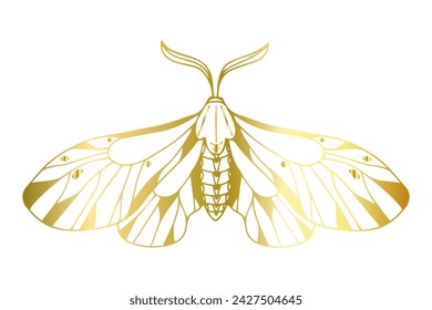 Decorative winged insect golden night moth. Vector graphics.