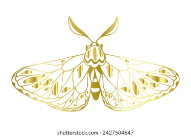 Decorative winged insect golden night moth. Vector graphics.