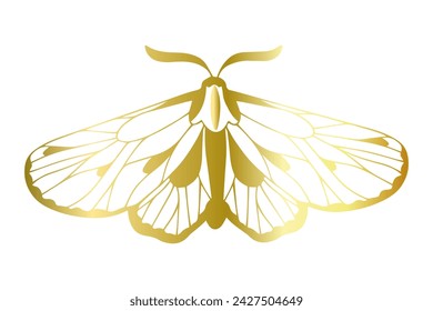 Decorative winged insect golden night moth. Vector graphics.