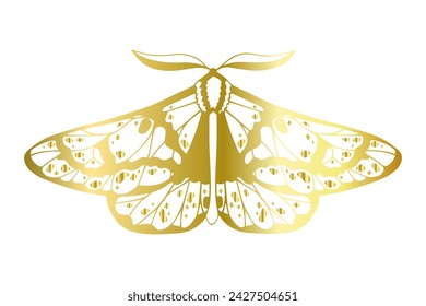 Decorative winged insect golden night moth. Vector graphics.