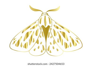 Decorative winged insect golden night moth. Vector graphics.