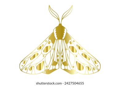 Decorative winged insect golden night moth. Vector graphics.