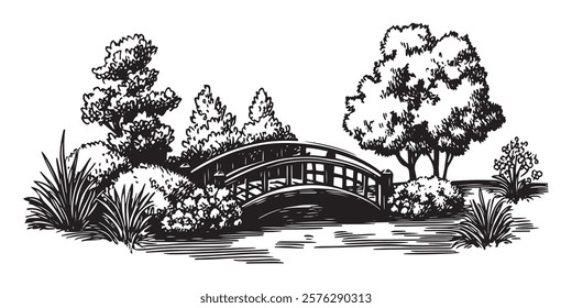 decorative wooden bridge in lush garden hand-drawn black and white illustration