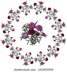 Decorative wreath of peony flowers. Pattern of a bouquet of flowers.