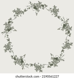 Decorative wreath of sketches vintage vine branches with berries, leaves and tendrils