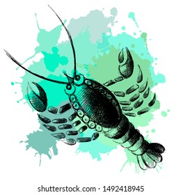 Decorative zodiac sign Cancer. Horoscope and astrology (astronomy)-symbol. Vector illustration.