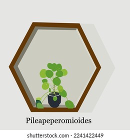 Decotarismo Planta Pilea peperomioides Vector Ilustración