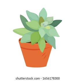 plantas descotariadoras diseño vectorial, plantas decorativas en la olla aisladas en fondo blanco