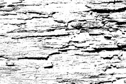 Decrepit Medieval Beaten Backdrop. Coating Of Coarse Split Spotted Battered Background. Old Rotten Destroyed Texture Bar. Chipped Flaked Surface Plank, Dirty Decking Material. Coastal Drift Junk Log