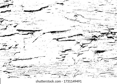 Decrepit medieval beaten backdrop. Coating of coarse split spotted battered background. Old rotten destroyed texture bar. Chipped flaked surface plank, dirty decking material. Coastal drift junk log