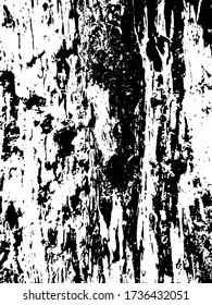 Decrepit medieval beaten backdrop. Coating of coarse split spotted battered background. Old rotten destroyed texture bar. Chipped flaked surface plank, dirty decking material. Coastal drift junk log