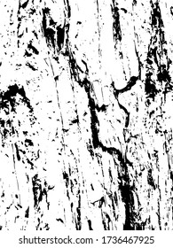 Decrepit medieval beaten backdrop. Coating of coarse split spotted battered background. Old rotten destroyed texture bar. Chipped flaked surface plank, dirty decking material. Coastal drift junk log
