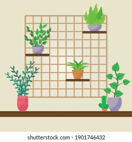 decroative plants in shelves over white background, colorful design, vector illustration