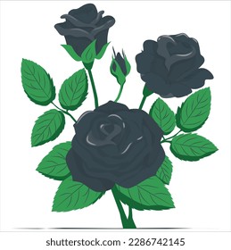 Deep black rose flower with green leaves. open black rose, decoration element. The beautiful black rose  for bad Valentine’s Day. Black rose on a white background vector. Beautiful bouquet with roses
