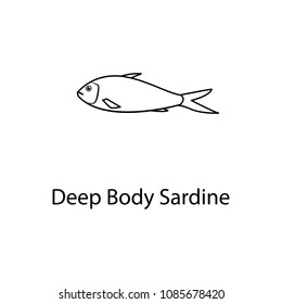 deep body sardine icon. Element of marine life for mobile concept and web apps. Thin line deep body sardine icon can be used for web and mobile. Premium icon on white background