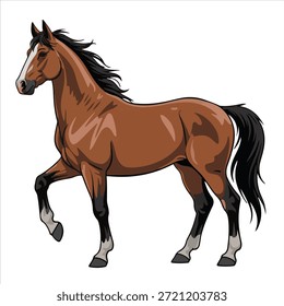 Ein tiefer Farb-Pferd-Illustrationsvektor