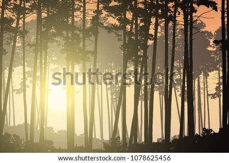 Deep coniferous forest and rising sun shining through trees - vector