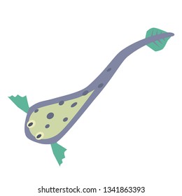 deep fish flat illustration Marine creatures and underwater world series