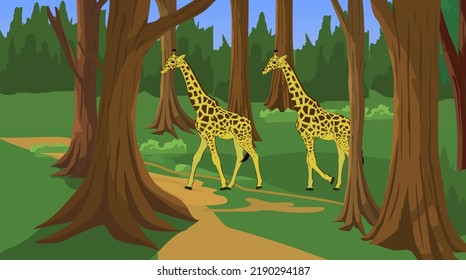 Deep forest with ancient trees and some giraffe is walking inside the jungle.