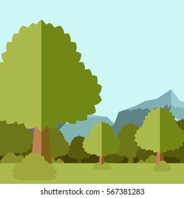 Deep Forest flat background17