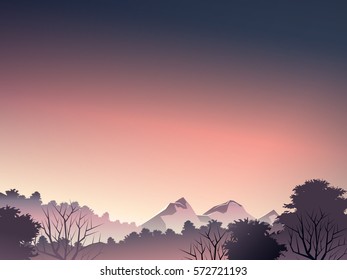 deep forest landscape when dusk