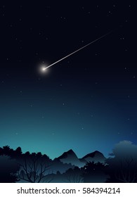 deep forest landscape when midnight