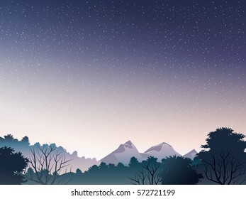 deep forest landscape when sunrise