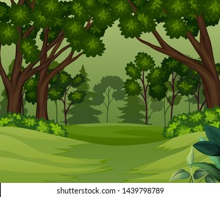 Deep forest scene with trees background illustration