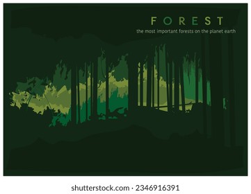 Deep forest, trees and different green on background. Cover and home page
