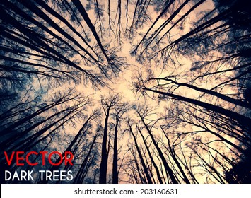 deep forest vector background