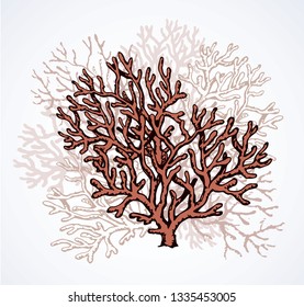 Deep old invertebrate Anthozoa Cnidaria polyp bush isolated on white backdrop. Freehand outline ink hand drawn picture sketchy in art retro scribble style pen on paper. View closeup and space for text