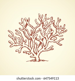 Deep old invertebrate Anthozoa Cnidaria polyp bush isolated on white backdrop. Freehand outline ink hand drawn picture sketchy in art retro scribble style pen on paper. View closeup and space for text
