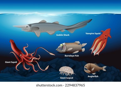 Deep Sea Creatures Collection illustration