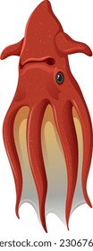 Deep sea creatures vampire squid illustration
