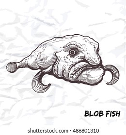 Deep sea fish blobfish sketch outline vector illustration isolated on white crumpled paper background