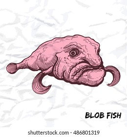 Deep sea fish blobfish sketch outline color vector illustration isolated on white crumpled paper background