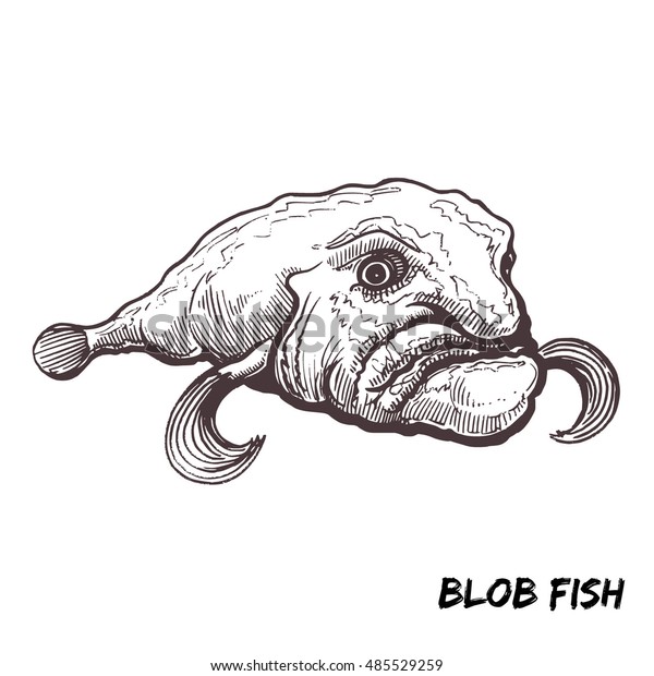 Deep Sea Fish Blobfish Sketch Outline Stock Vector (Royalty Free) 485529259