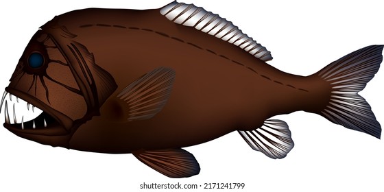 Deep sea fish 'Fangtooth' illustration. Vector EPS format.