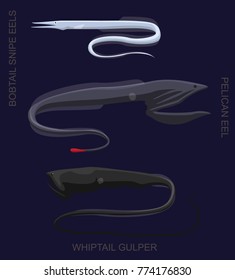 Deep Sea Fish Gulper Eel Set Cartoon Vector Illustration