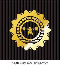 deep squat icon inside golden emblem