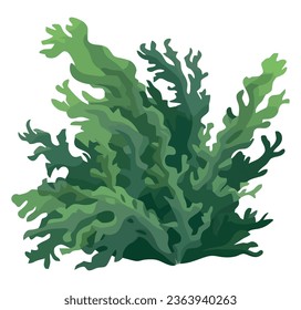 Deep underwater seaweed over white