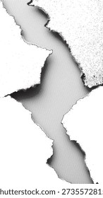 Deep vertical crack splits white textured surface showing dark separation below