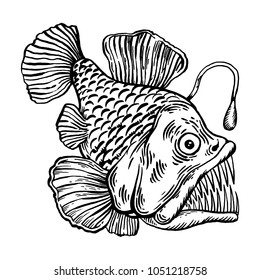 Deep water fish with lightern engraving vector illustration. Scratch board style imitation. Black and white hand drawn image.