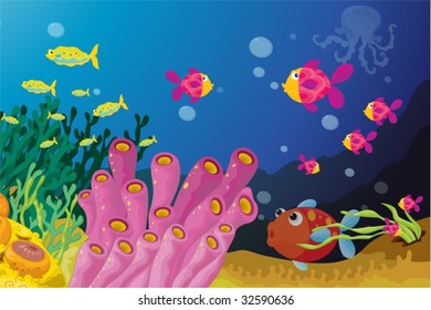 Deep water fish in their nautral enviroment