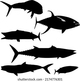 Deep Water Ocean Pelagic Reef Fishes