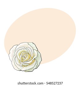 Deep white rose bud, top view sketch style vector illustration isolated on background with place for text. Realistic hand drawing of open red rose flower, decoration element