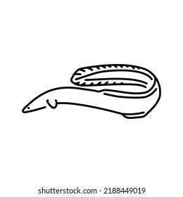 Deep-sea eel color line illustration. Ocean fishes.